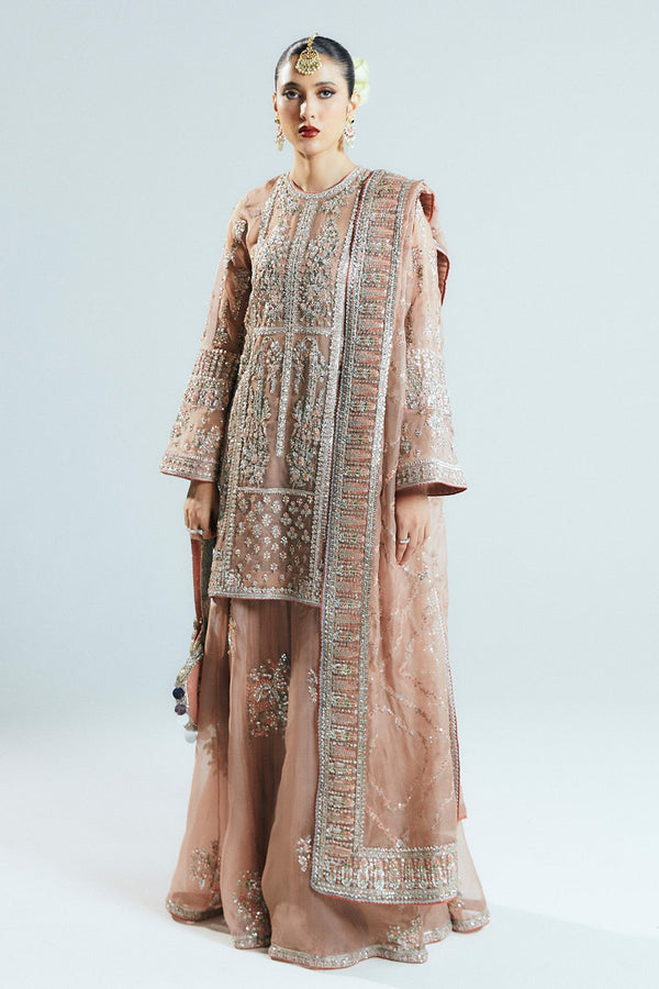 Hussain Rehar _ Elegant Peach